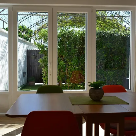 Sunny Day Apartment